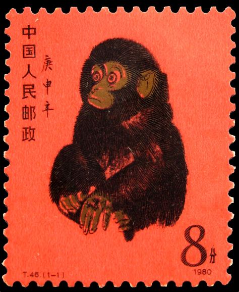 1980 猴